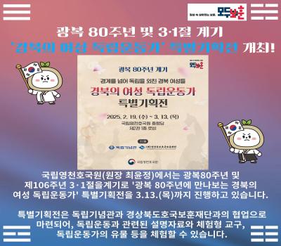 광복 80주년 및 3·1절 계기 특별기획전 개최 이미지