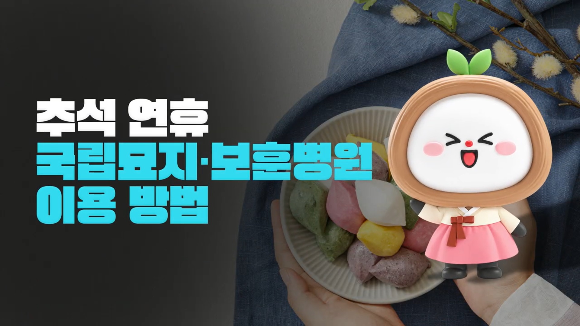 🌕 추석 연휴, 꼭 확인하세요! 📢 추석 연휴 국립묘지·보훈병원 이용 방법 [보훈부에 물어봐서 답 찾기🎁]