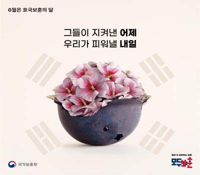 [2025 호국보훈의 달] 일상 속 살아있는 보훈, 모두의 보훈 이미지