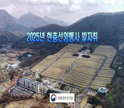 2025년 현충선양행사 발자취 이미지