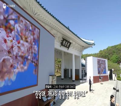 "아들아, 20년만에 답장을 보낸다" 이미지