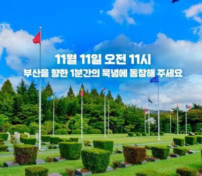 유엔참전용사 국제추모의 날 11월 11일 11시 이미지