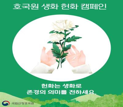 생화 헌화 캠페인 이미지