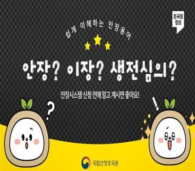 쉽게 이해하는 안장용어 안내 영상 이미지