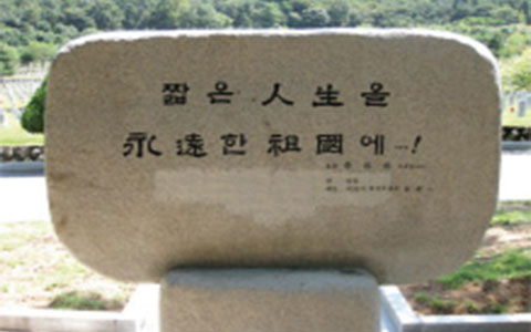 파월전몰영령 추모비 사진 2